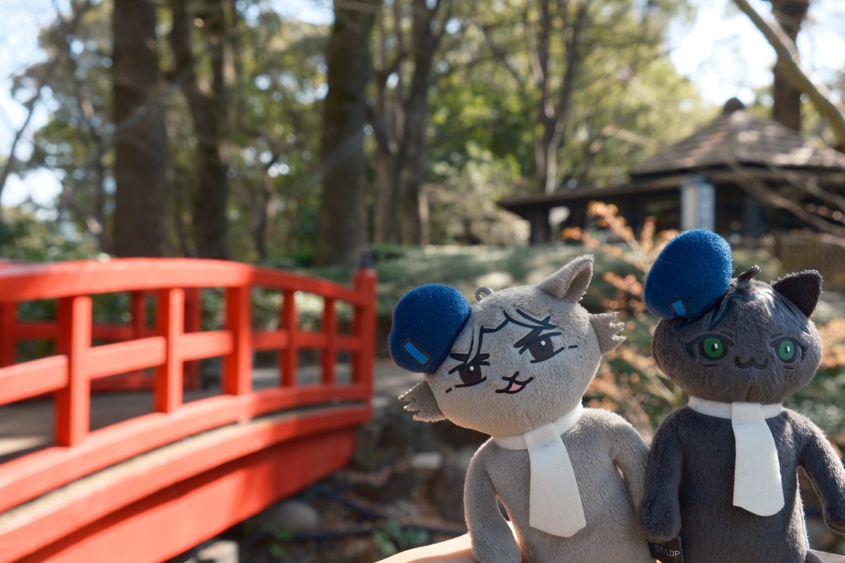 【公式】ノイエ銀英伝 情報局 tweet media