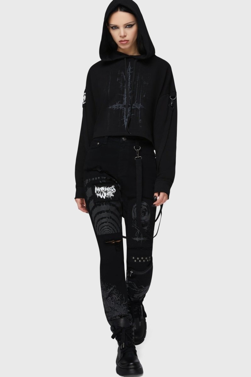 Spider Rock Web tweet media