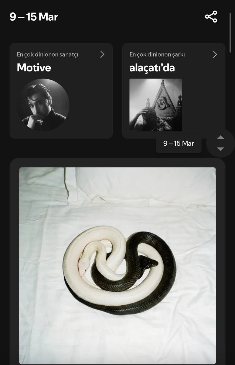 kongolu 🇨🇩 | Rota Altay tweet media