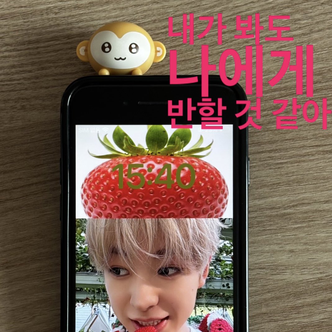 비빔이 tweet media