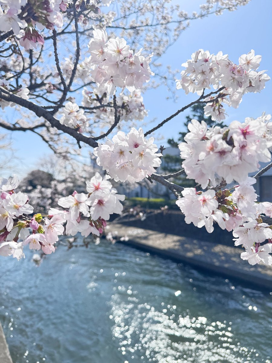 大橋量器/枡工房ますや【公式】 tweet media