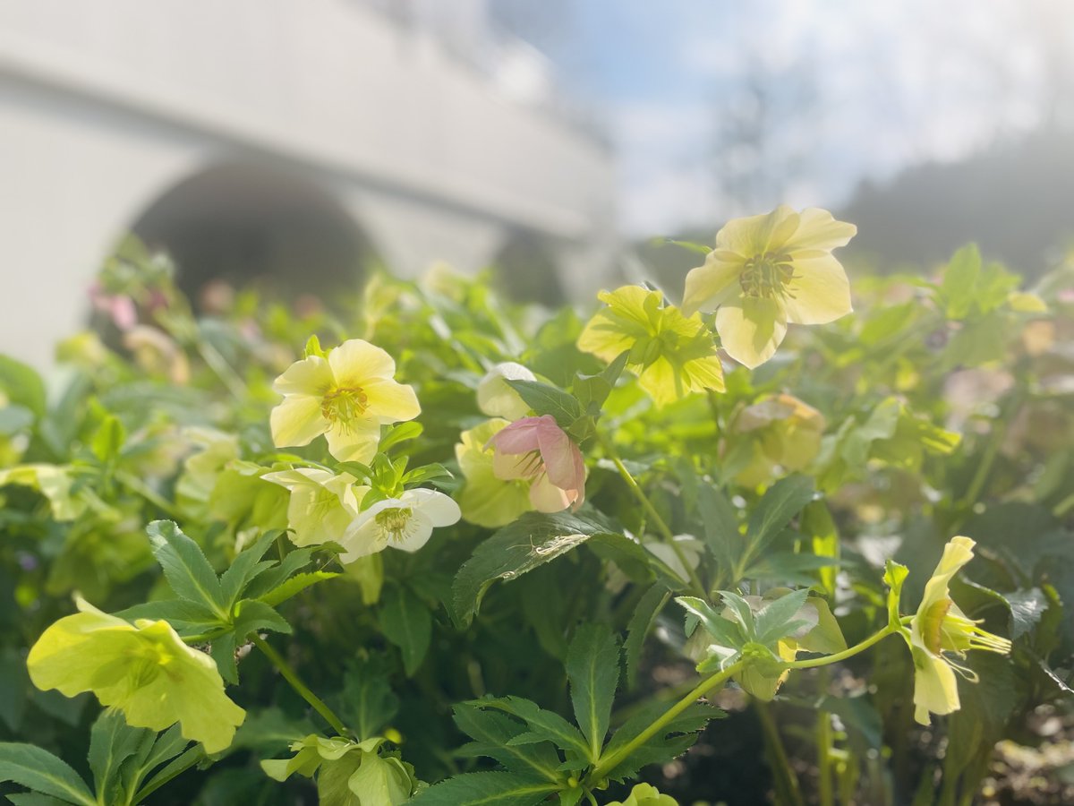 彩の国さいたま芸術劇場＜総合＞ tweet media