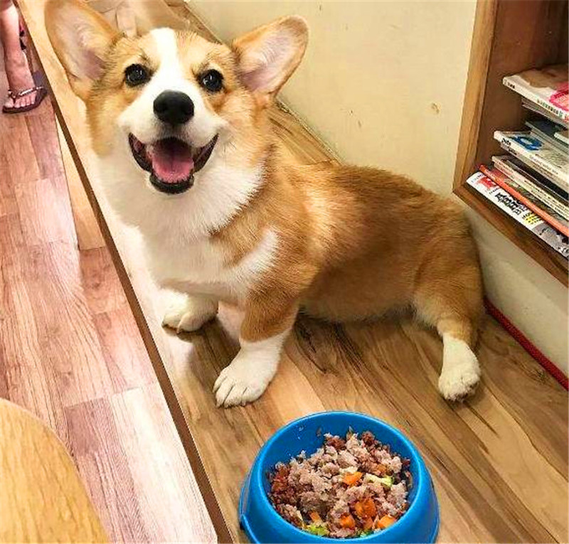 diegobld10 tweet media