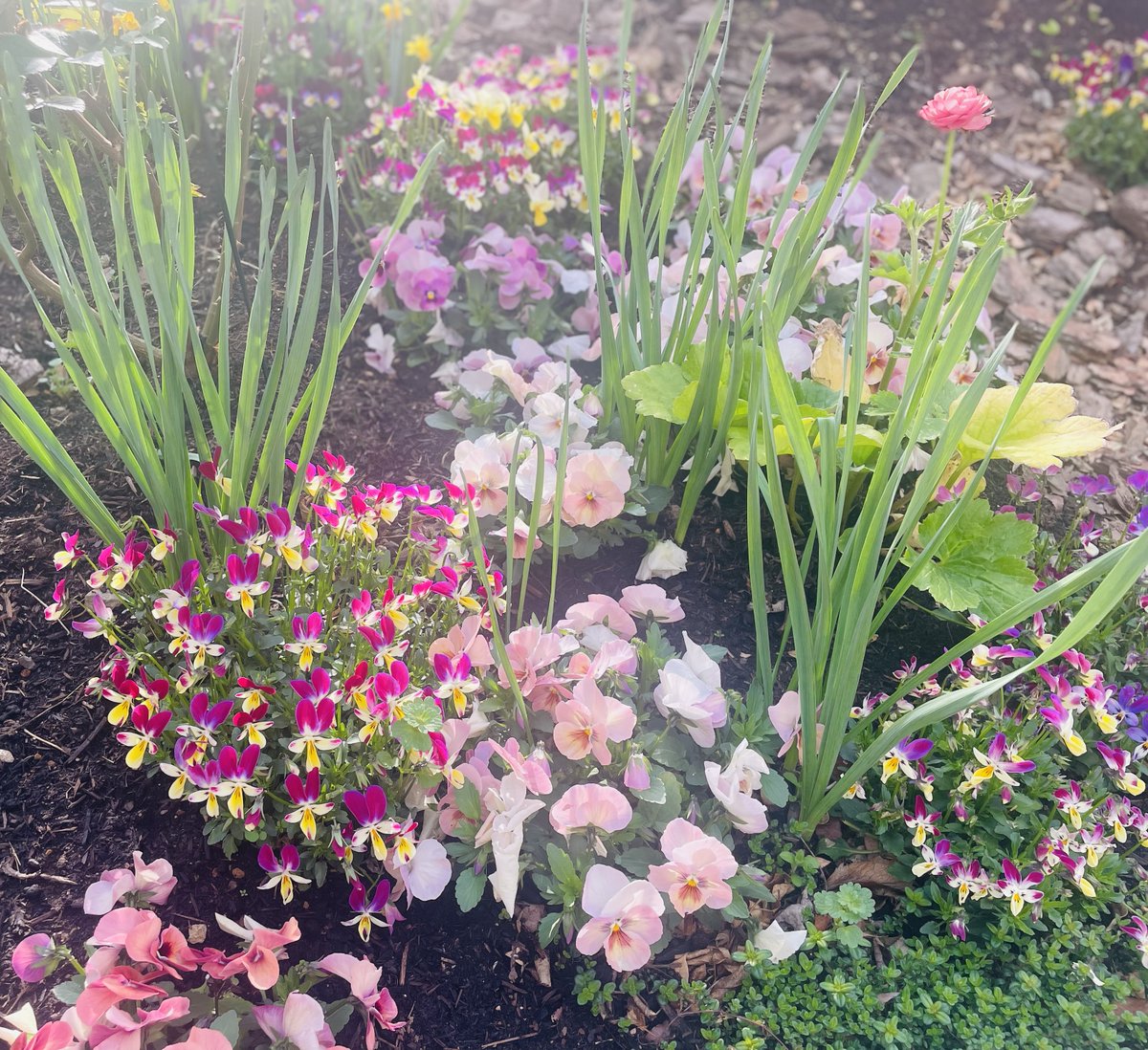 彩の国さいたま芸術劇場＜総合＞ tweet media