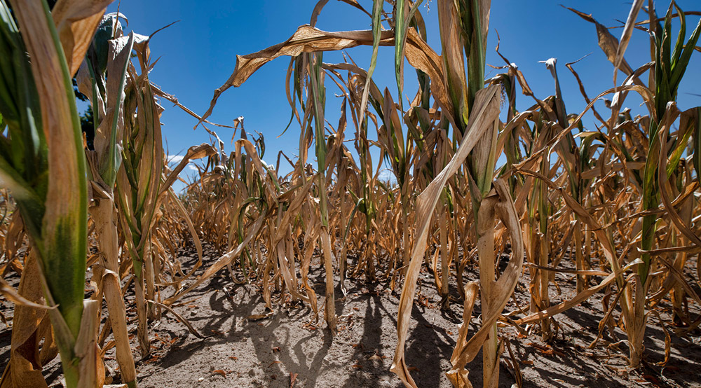 Rolf_Georg_E's tweet image. Extreme Klimafolgen unterschätzt?

Spannbreite der Klimamodelle zeigt Potenzial für Worst-Case-Ausreißer

 scinexx.de/news/geowissen…

#Wissen #Klima #Klimawandel #Klimafolge #Klimaprognose #Wetterextrem #Starkregen #Dürre