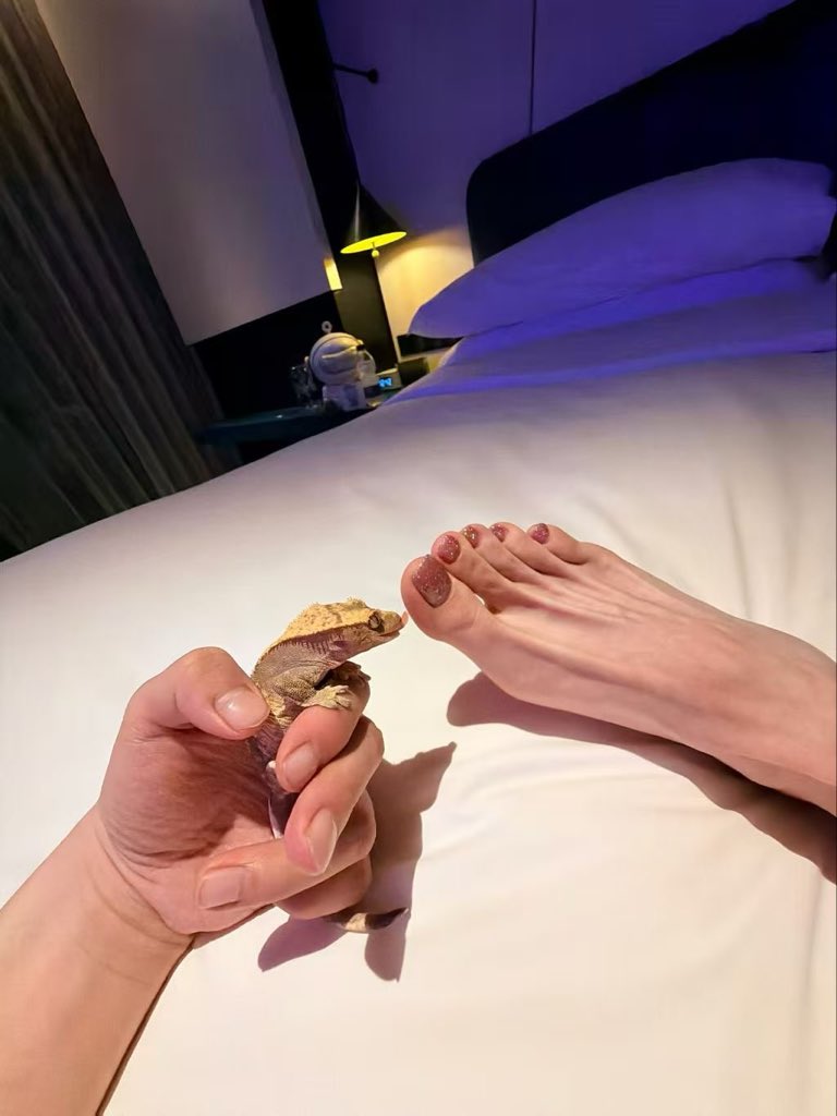 比特傻 tweet media