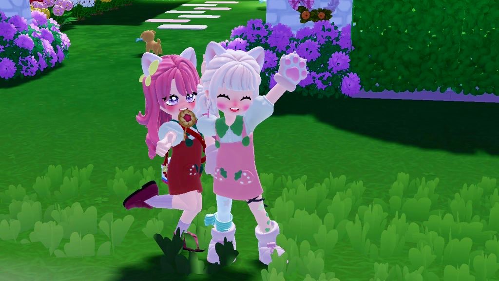 べあこ🐻ᩚ tweet media