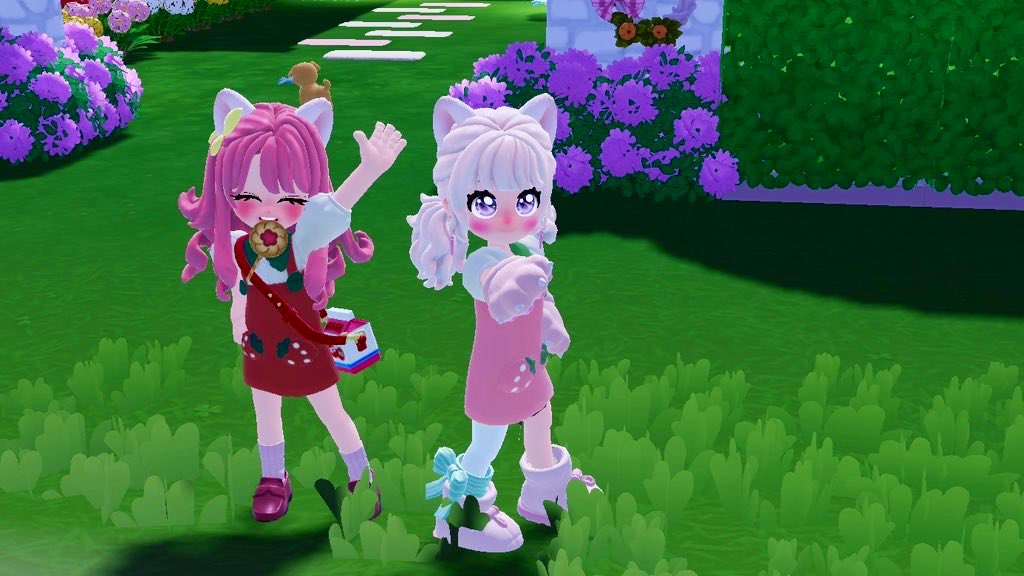 べあこ🐻ᩚ tweet media