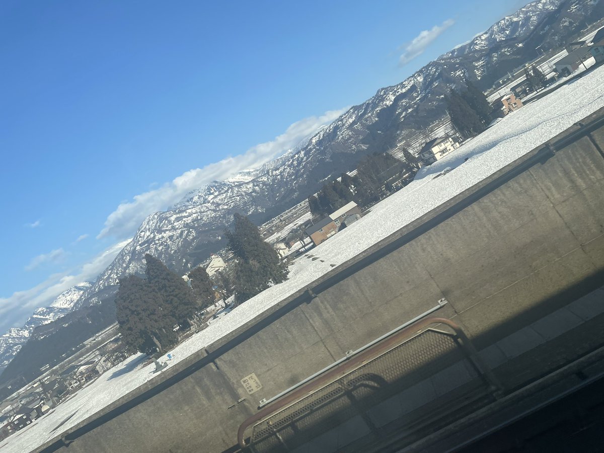 中宮 沙希/まお tweet media