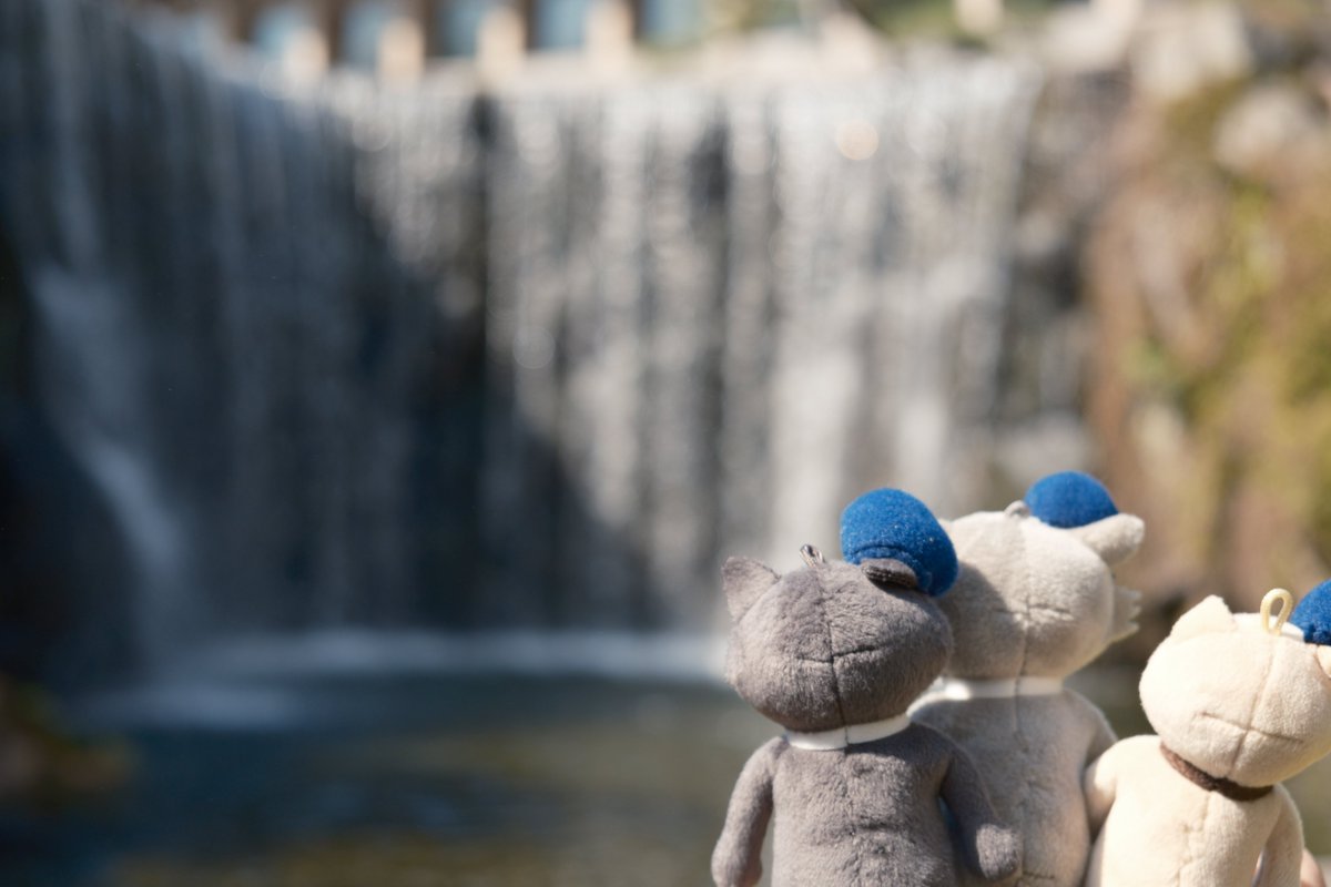 【公式】ノイエ銀英伝 情報局 tweet media