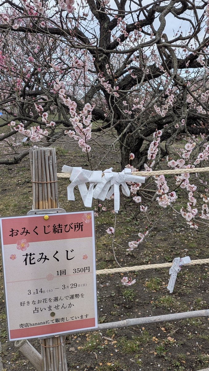 龍-𝑅‌𝑦𝑢-🐉𝑝ℎ𝑜𝑡𝑜 𝑔𝑟𝑎𝑝ℎ𝑖𝑐 𝑑𝑒𝑠𝑖𝑔𝑛📷 tweet media