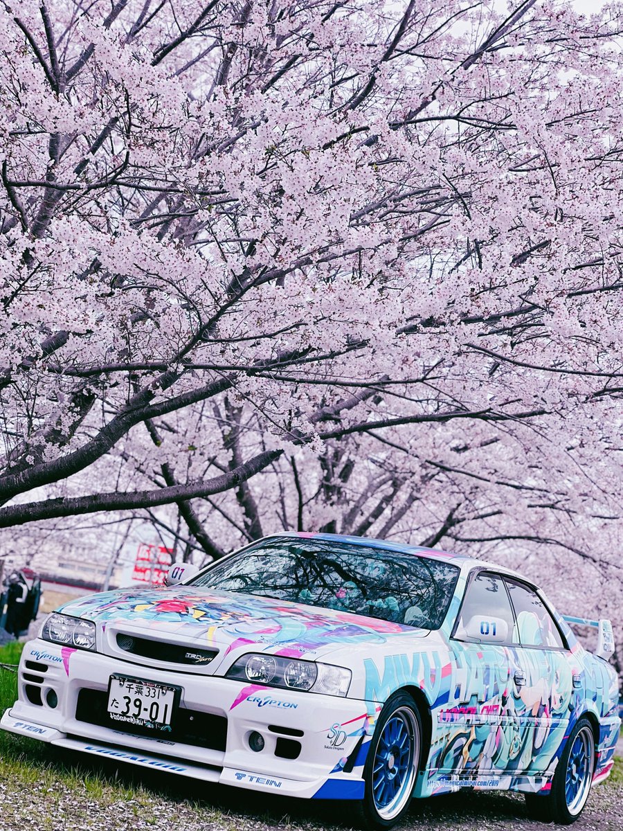 𝐍𝐎𝐑𝐈.(乂Д･)ｴｰｯｸｽ!!next→ #NORIの痛イベ参加予定を見るダヨー！ tweet media