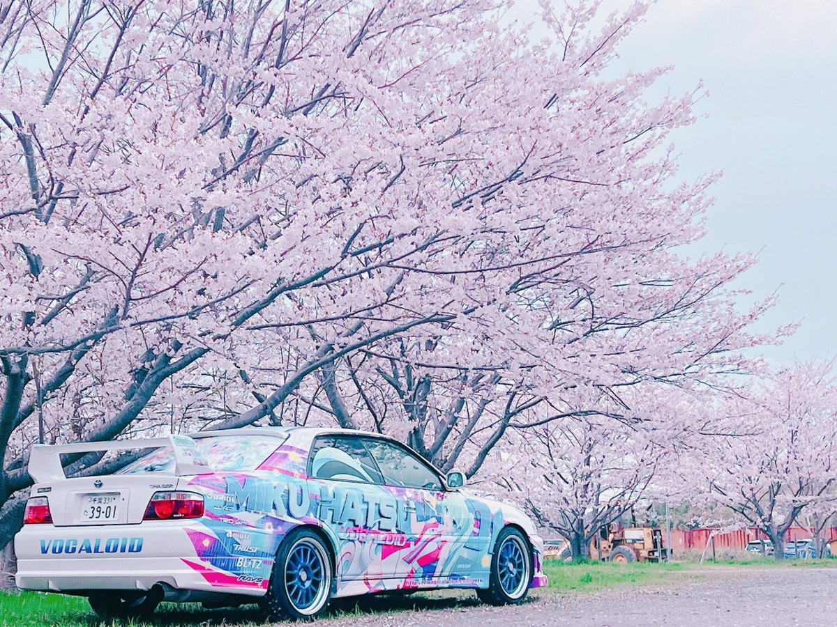 𝐍𝐎𝐑𝐈.(乂Д･)ｴｰｯｸｽ!!next→ #NORIの痛イベ参加予定を見るダヨー！ tweet media