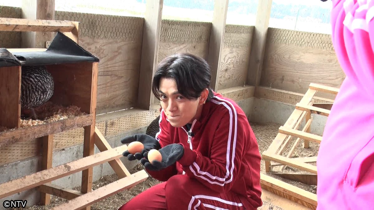 シューイチ tweet media