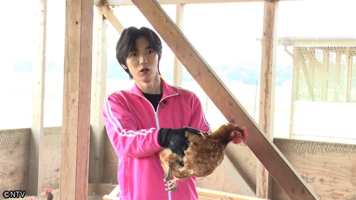 シューイチ tweet media