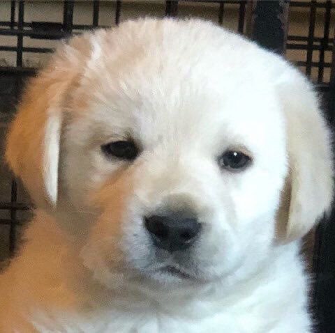 🔥예주🔥 tweet media