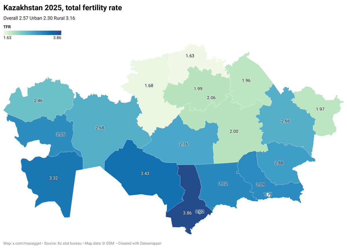 KUANYSH 𐰌 tweet media