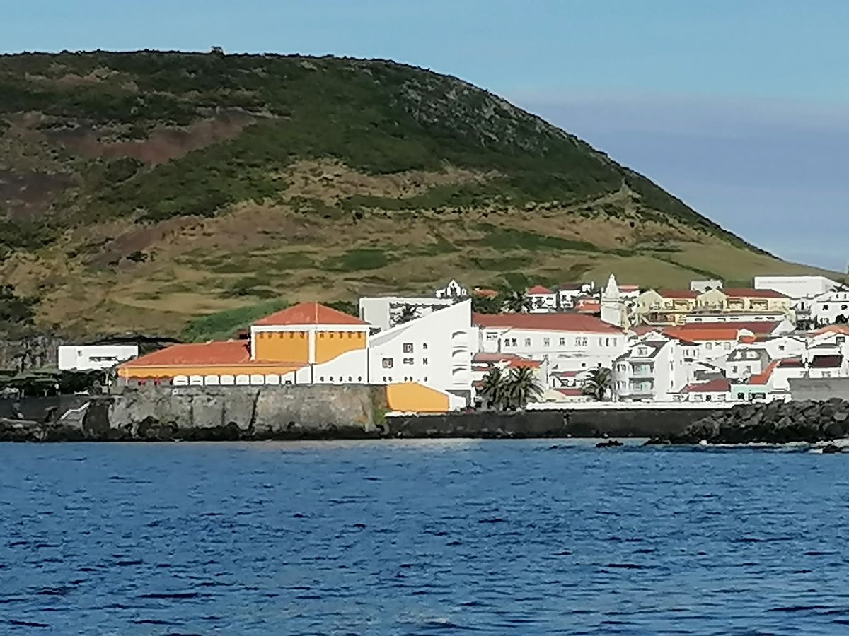 manuelima tweet media