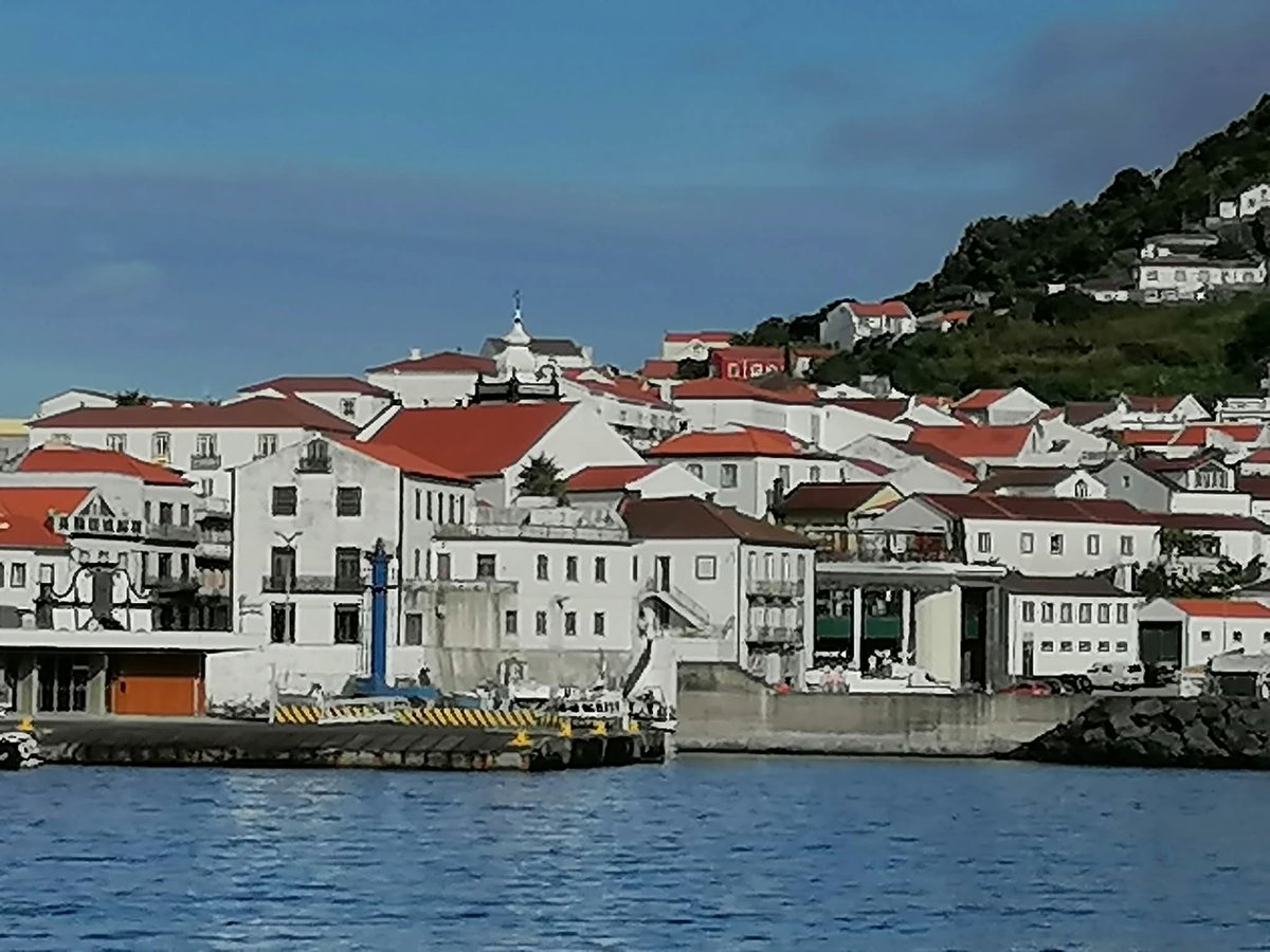 manuelima tweet media