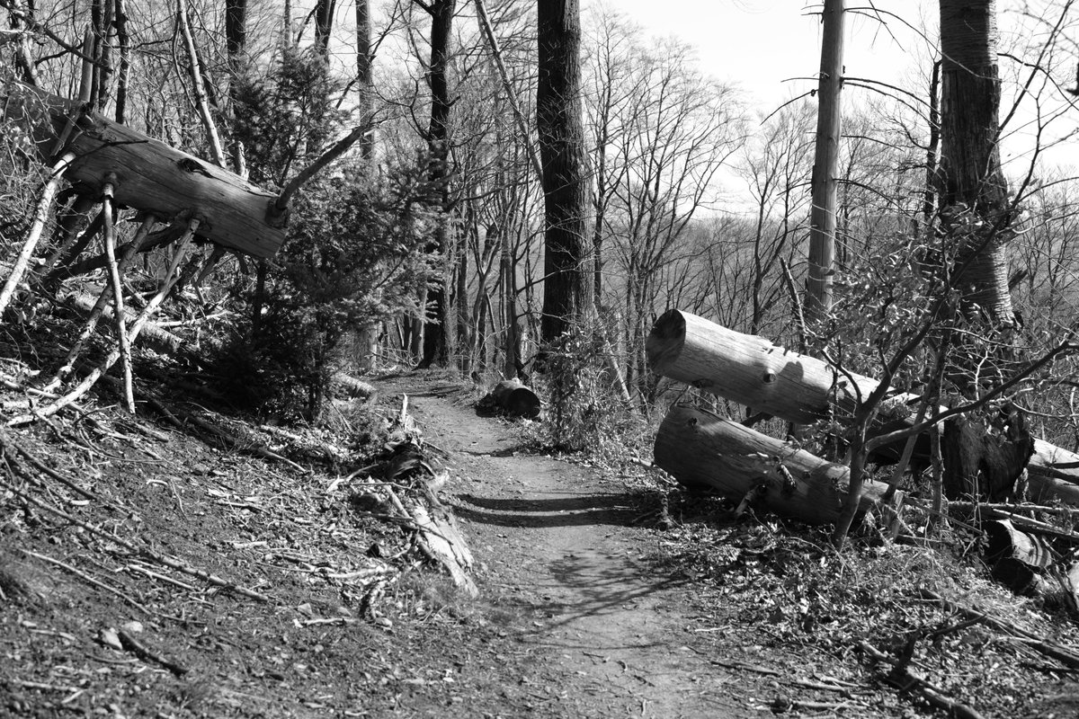 Der Schlockback tweet media