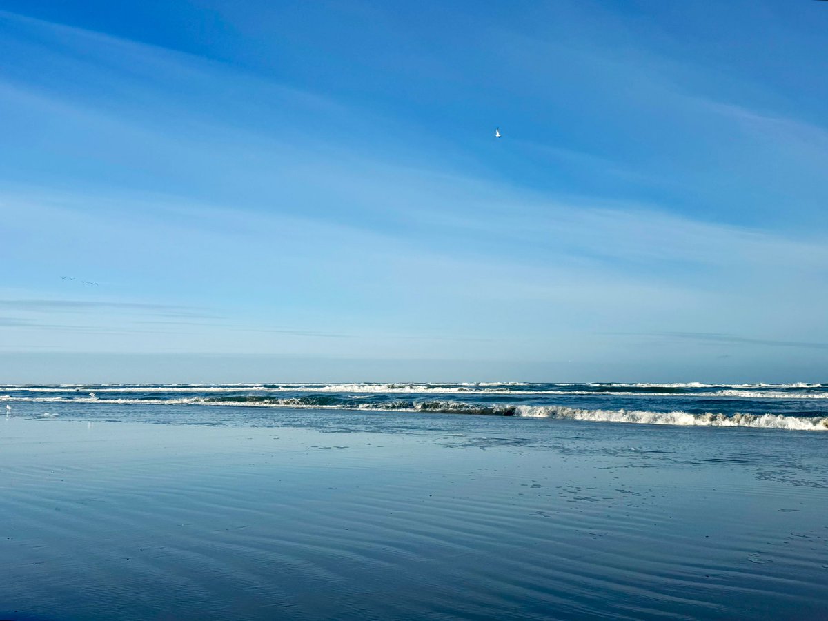 richardtkiewiet tweet media