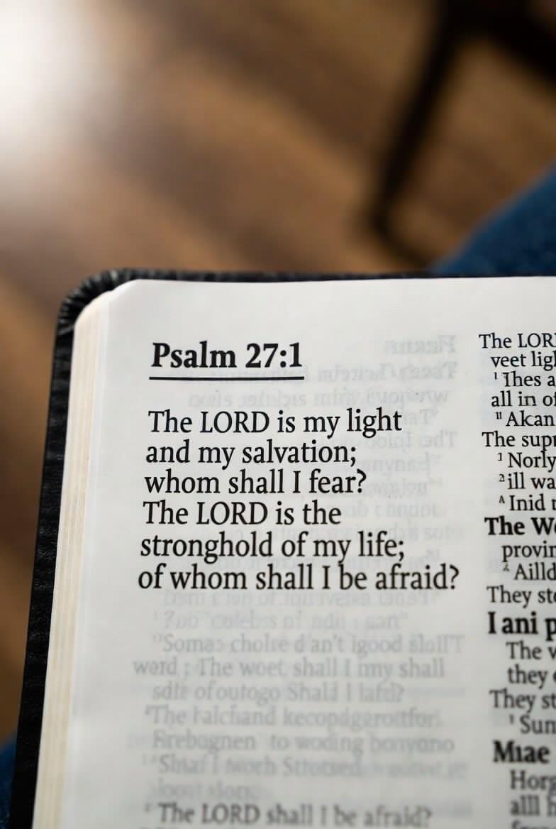 Immortal Tessy tweet media