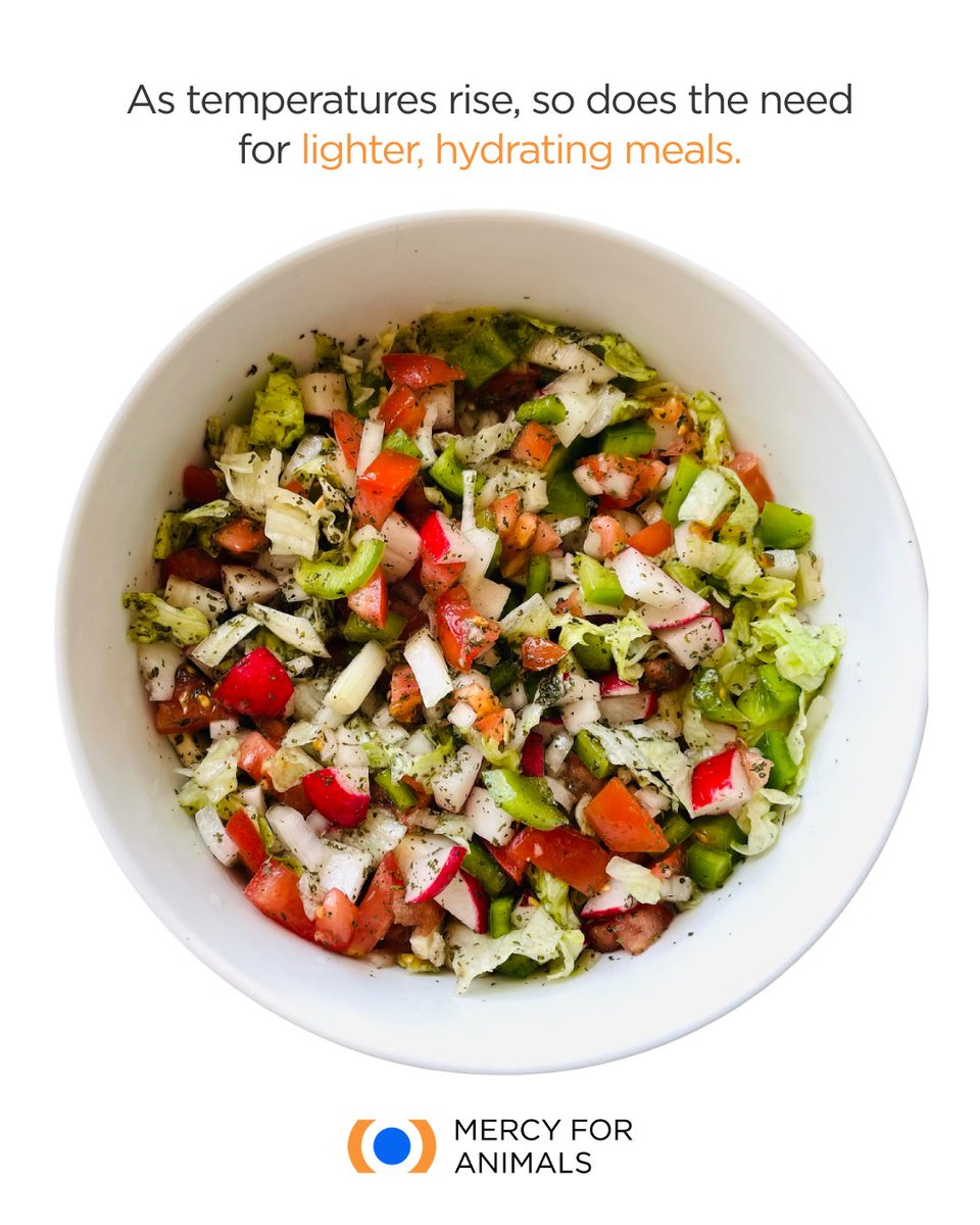 Mercy For Animals India tweet media