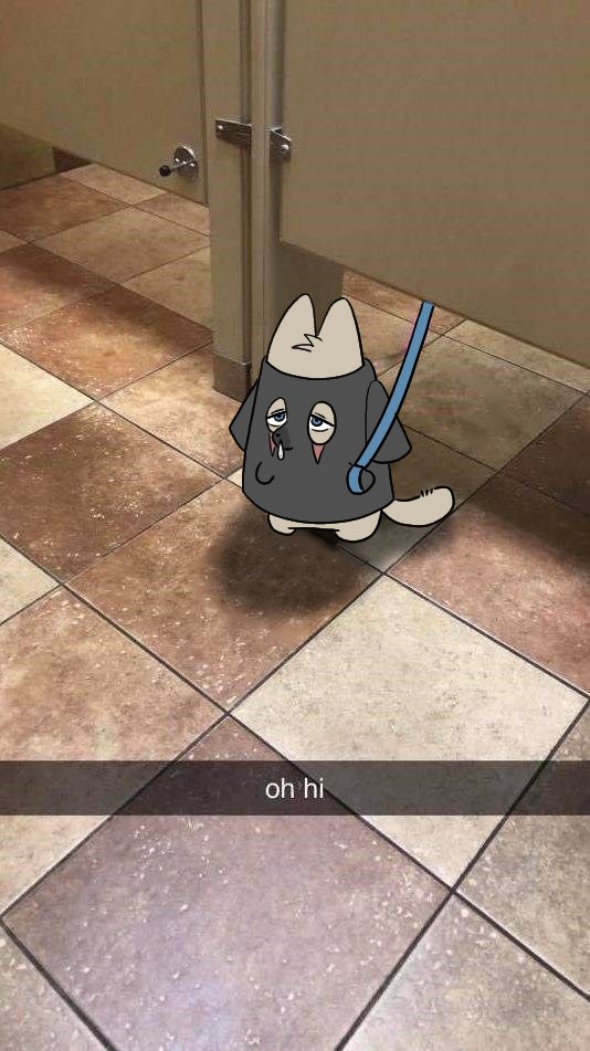 구dog계 tweet media