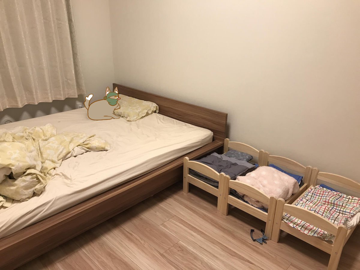 구dog계 tweet media