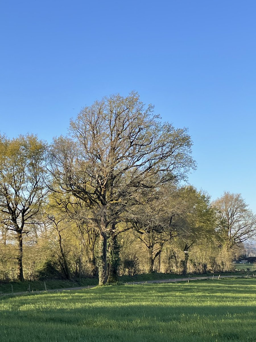 Ytje Poppinga 🇪🇺🇺🇦 tweet media