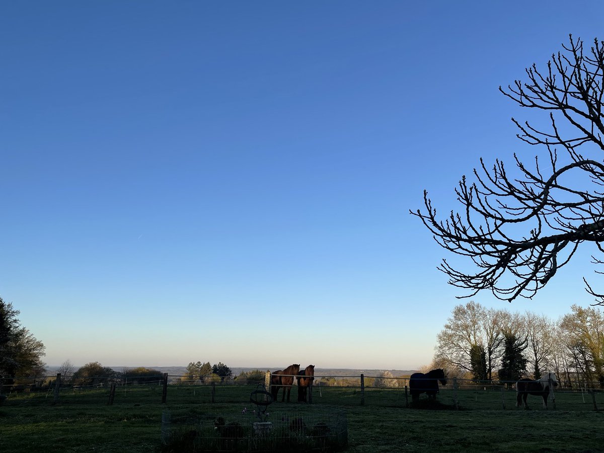 Ytje Poppinga 🇪🇺🇺🇦 tweet media