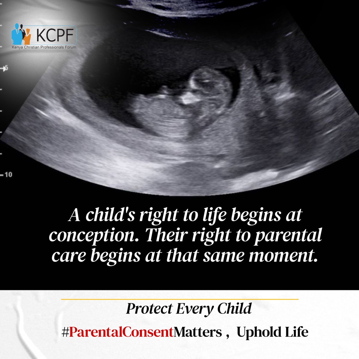 𝐊𝗂𐓣𝗀 tweet media