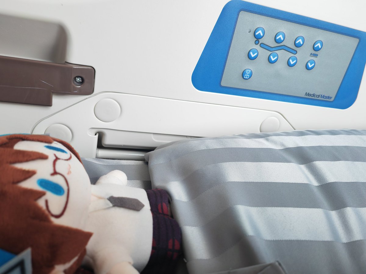 Kagurazaka Mari🍥 tweet media