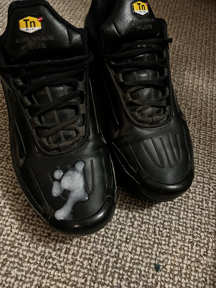 ScallyDomMaster tweet media