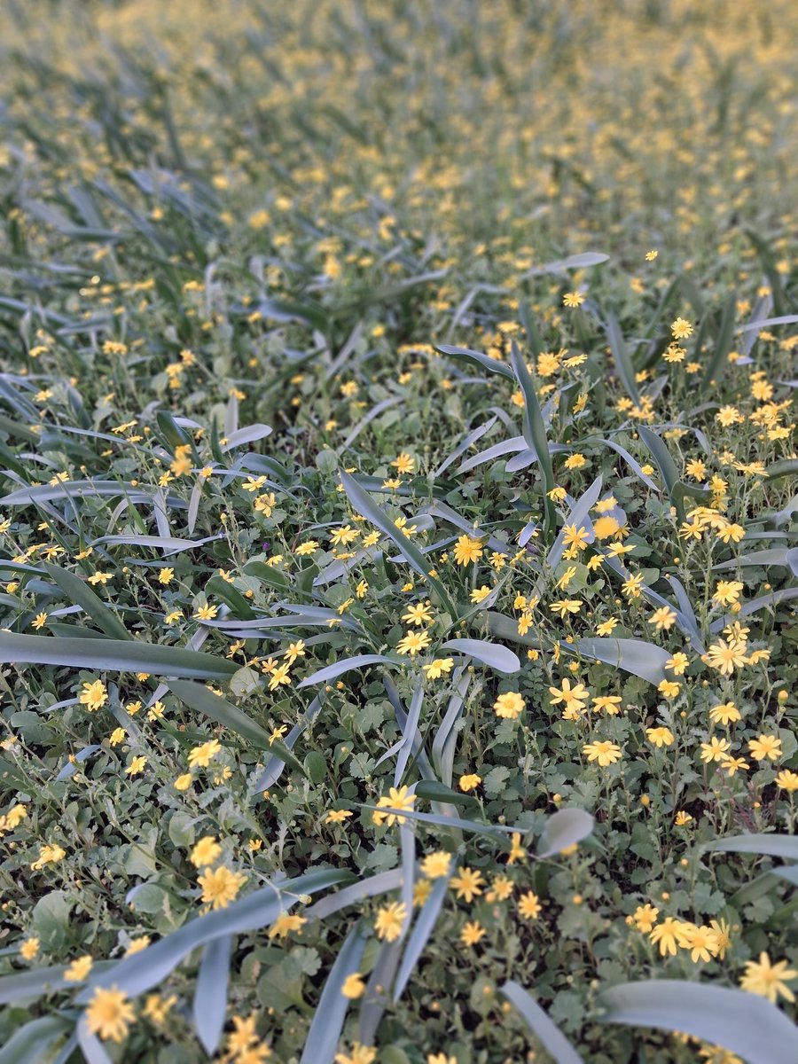 h@bouch ١🇱🇧 tweet media