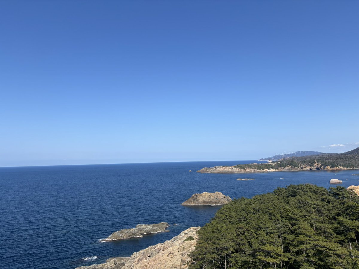 'れい'2号 tweet media