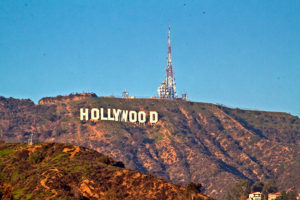 ู
ุงูุฑ ู
ุญู
ุฏ ุงูุจูุงุฑุฏู tweet media