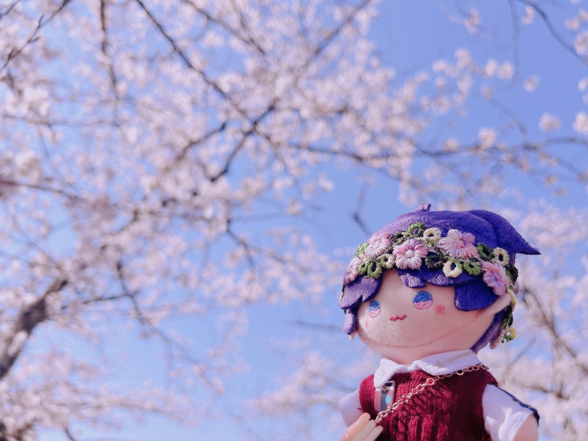 黒（岩）🐟🎨🍨 tweet media