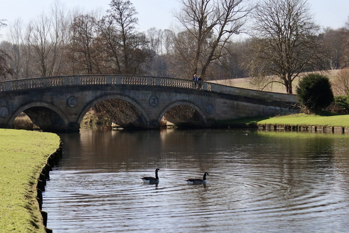 Sarah coxh tweet media