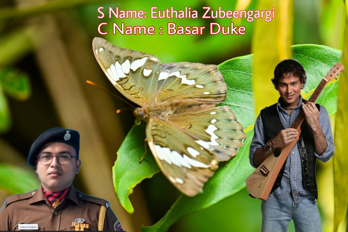 Nandan Pratim Sharma Bordoloi tweet media