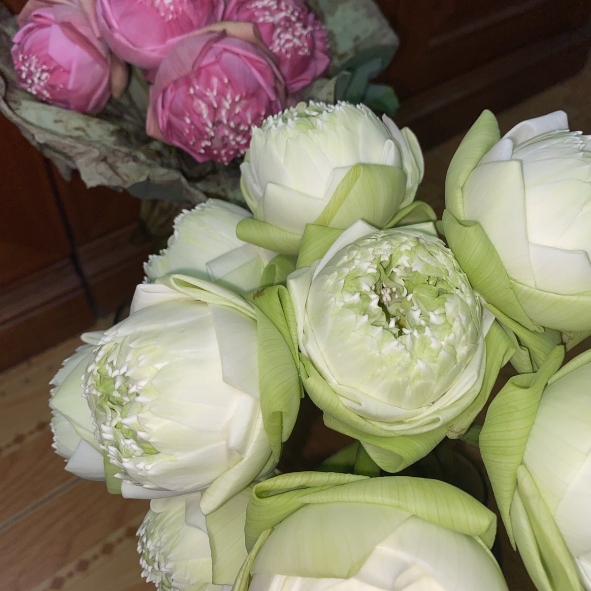 septemty tweet media