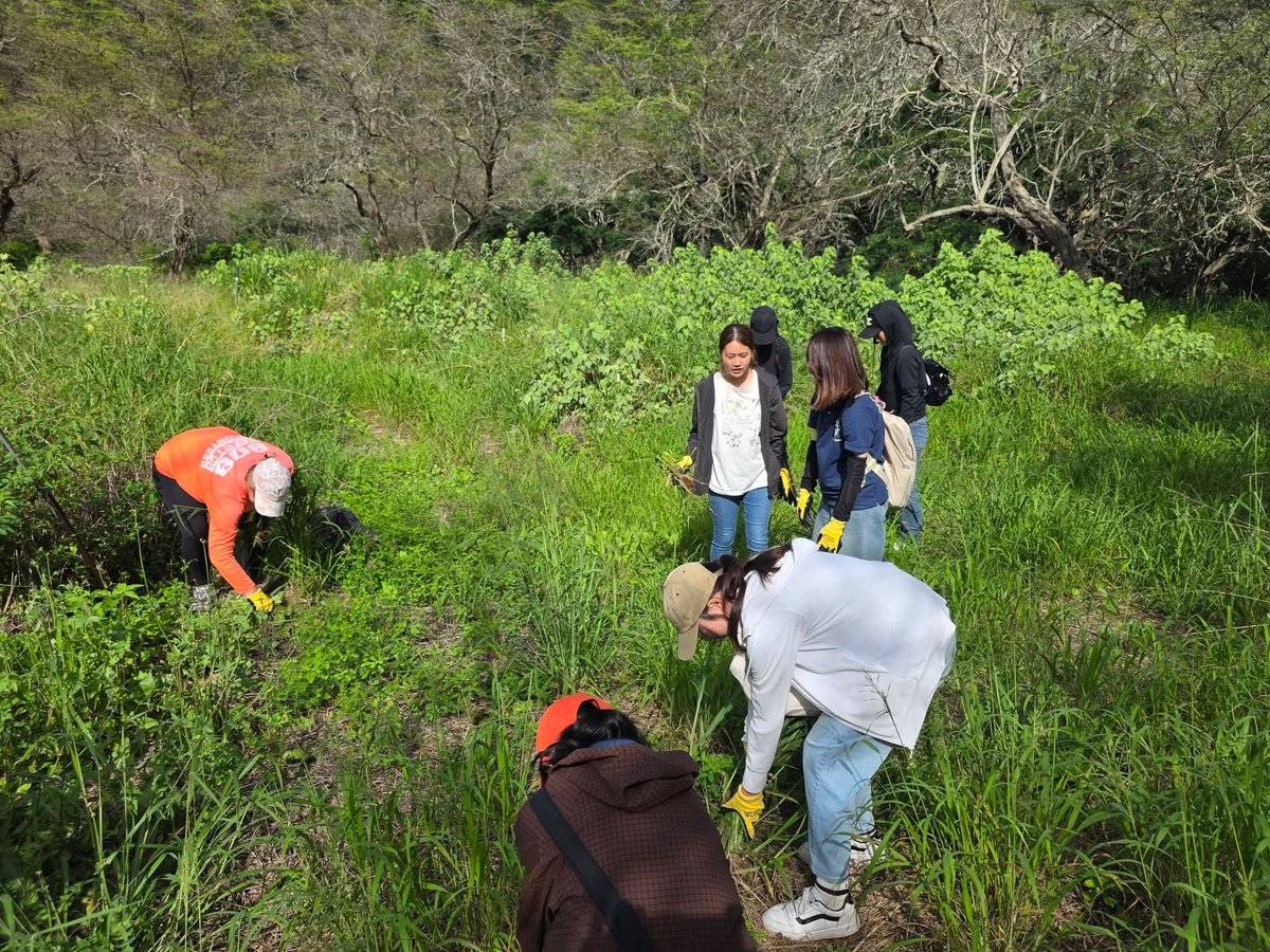 808cleanups tweet media