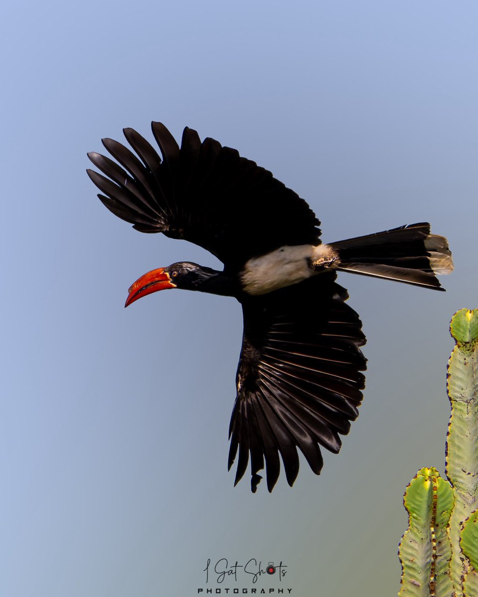 I_Gat_Shots tweet media