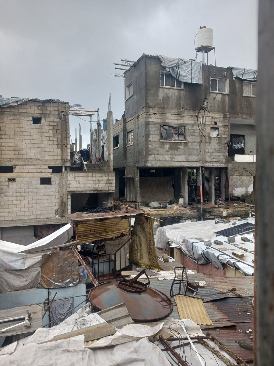 Shereen 𓂆 🇵🇸 tweet media