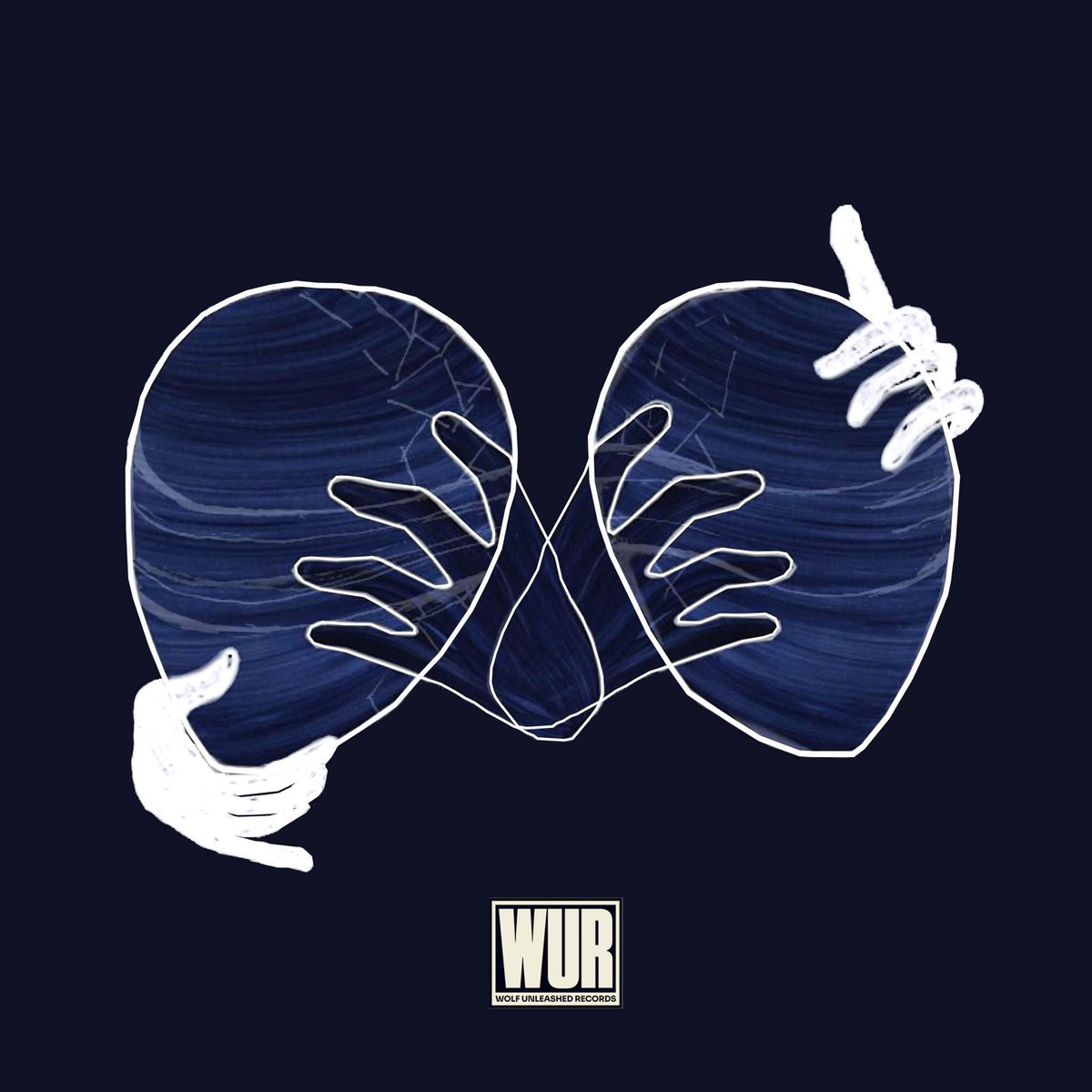 Aquatone tweet media