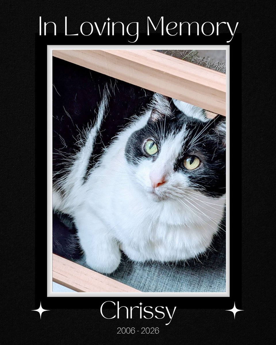 Shads 🔜 TGX Melbourne tweet media