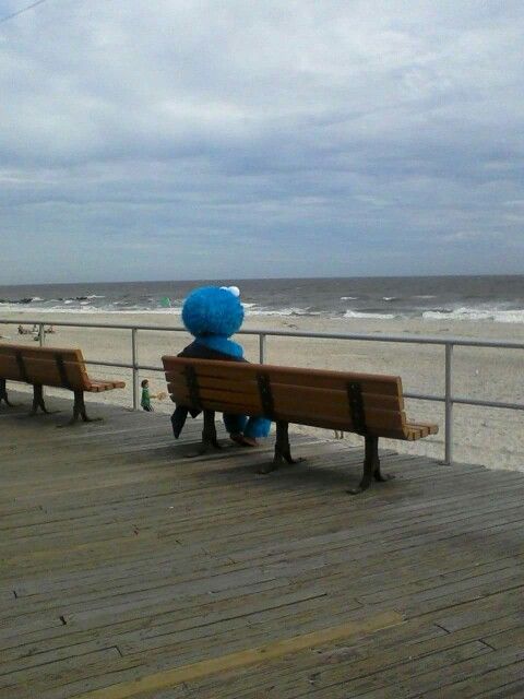 Prupy Puneo tweet media