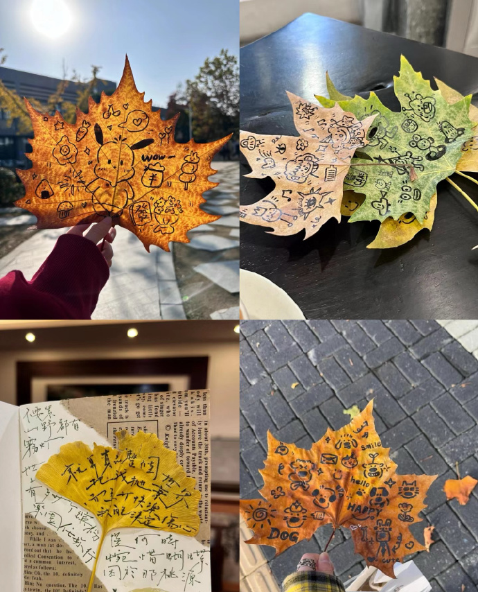 The Reluctant Ewok tweet media