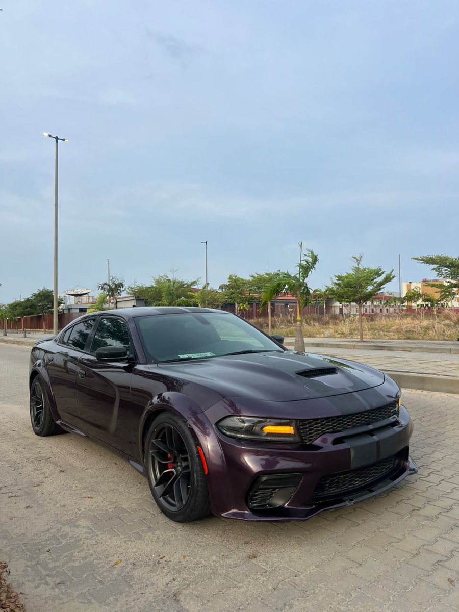 SOUTHCARNG_LTD tweet media