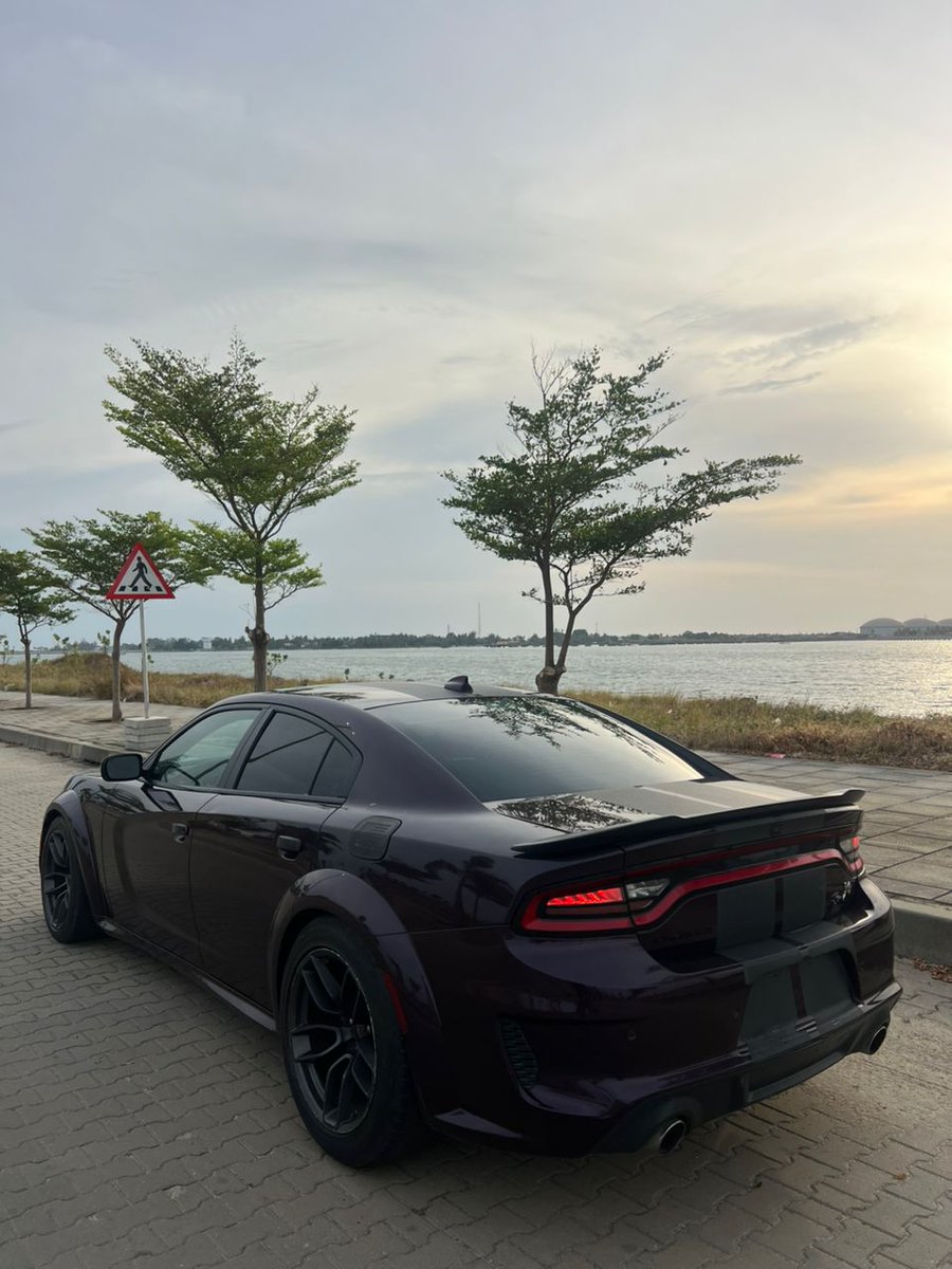 SOUTHCARNG_LTD tweet media